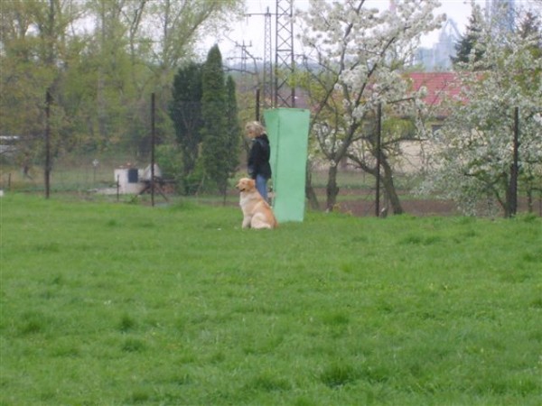 18.4.2009