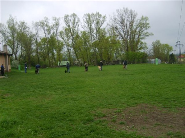 18.4.2009