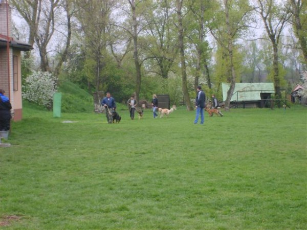 18.4.2009