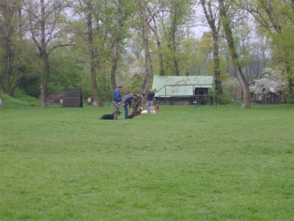 18.4.2009