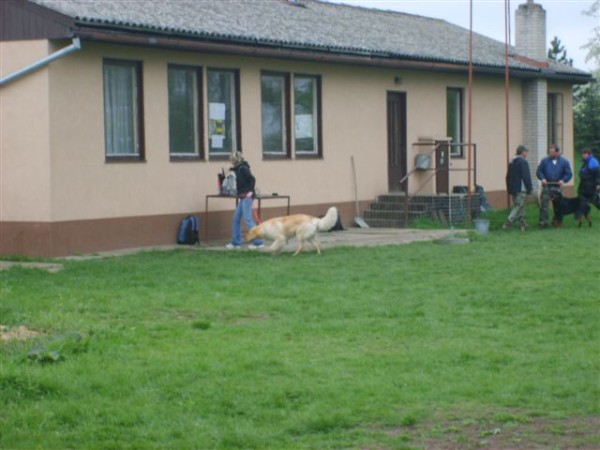 18.4.2009