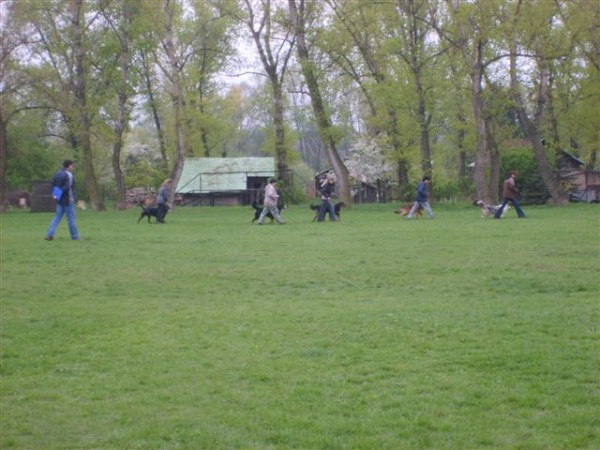 18.4.2009