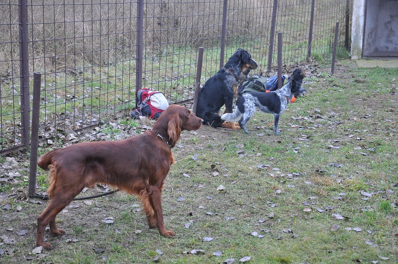 Klubový závod  -  5. 12. 2009