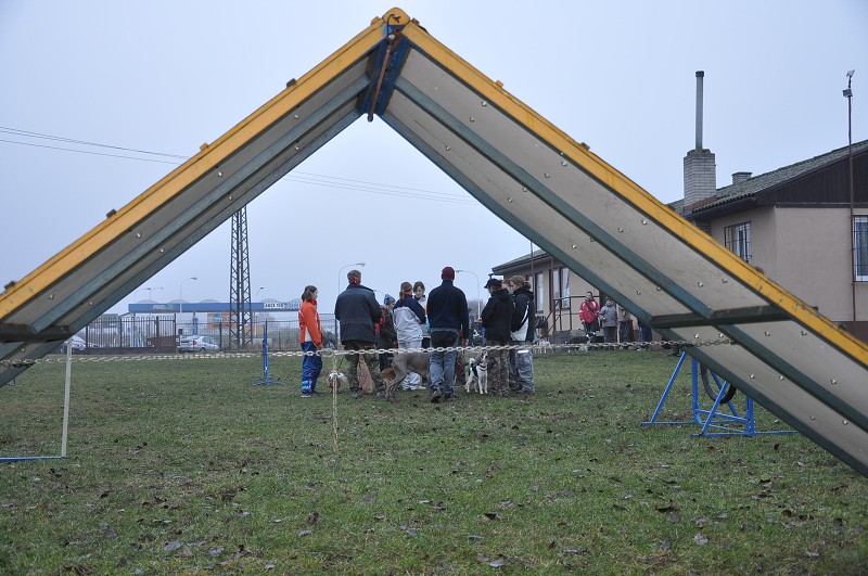 Klubový závod  -  5. 12. 2009