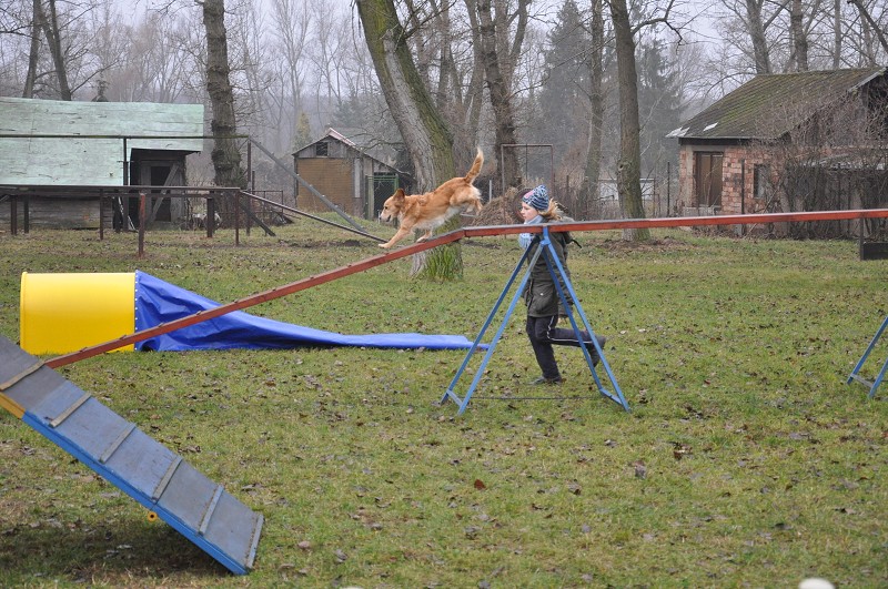 Klubový závod  -  5. 12. 2009