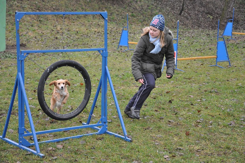Klubový závod  -  5. 12. 2009