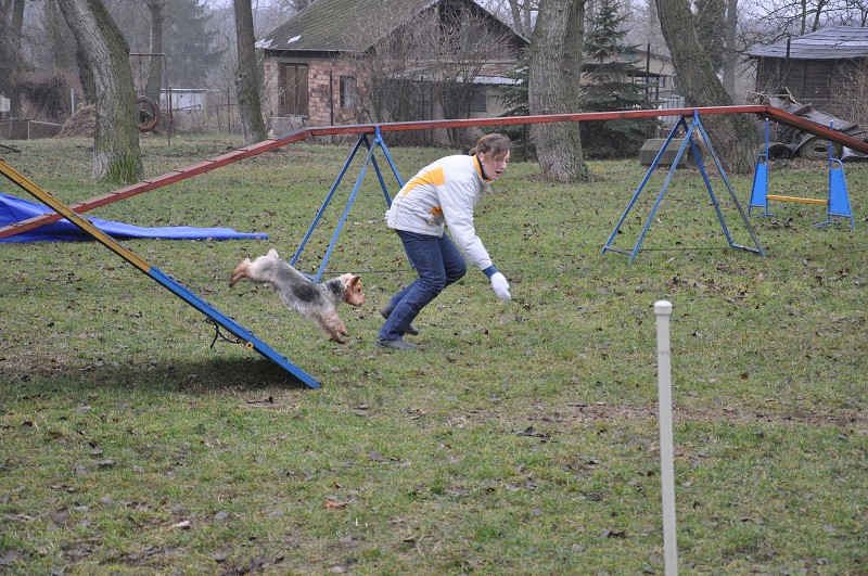 Klubový závod  -  5. 12. 2009