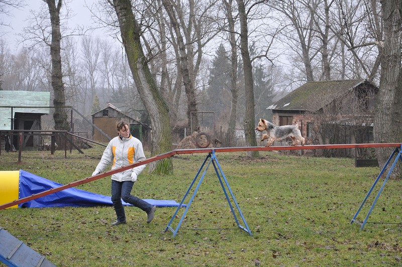 Klubový závod  -  5. 12. 2009