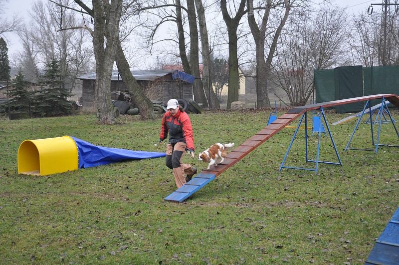 Klubový závod  -  5. 12. 2009