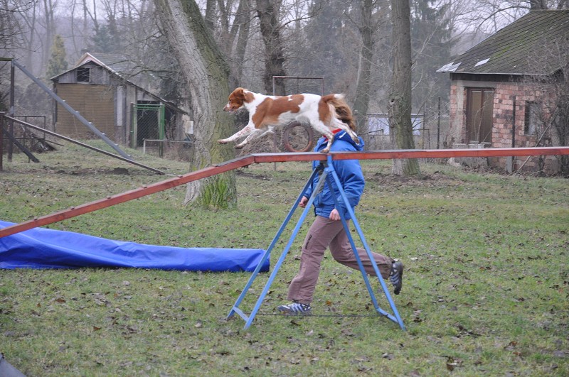 Klubový závod  -  5. 12. 2009