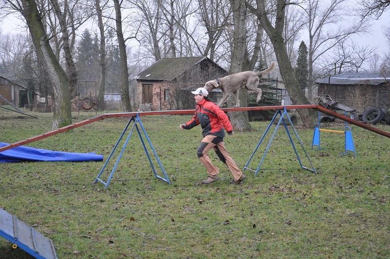 Klubový závod  -  5. 12. 2009