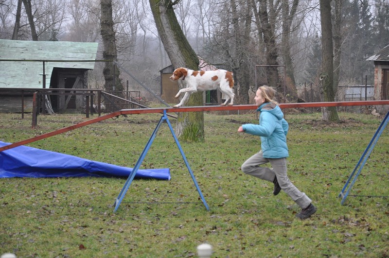 Klubový závod  -  5. 12. 2009