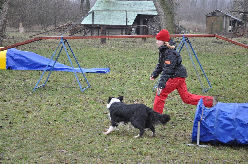 Klubový závod  -  5. 12. 2009