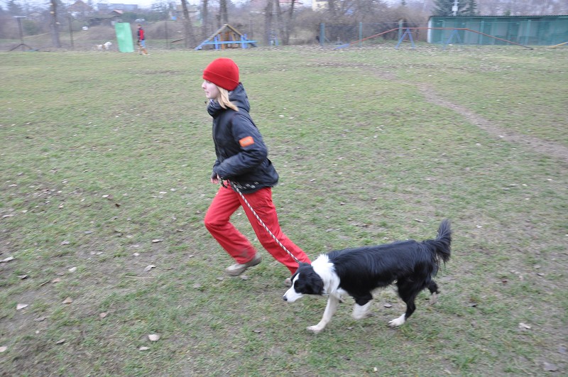 Klubový závod  -  5. 12. 2009