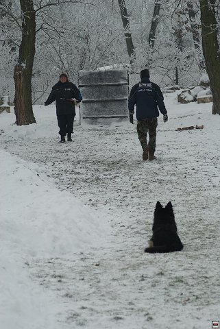 img00016.jpg