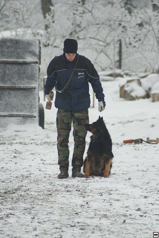 img00018.jpg