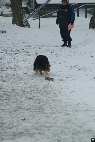 img00019.jpg