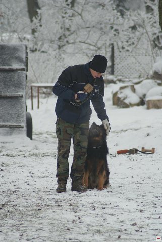 img00020.jpg