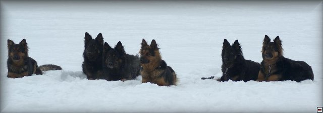img00045.jpg