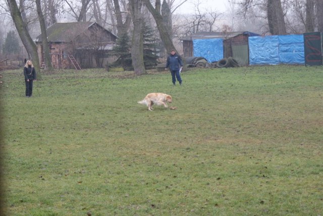 img00016.jpg