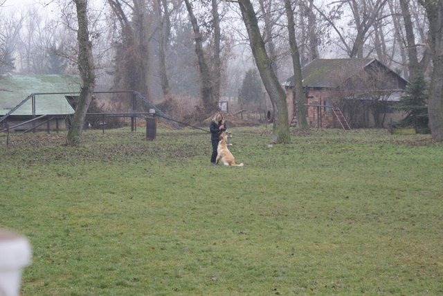 img00017.jpg