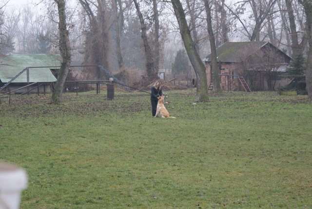 img00018.jpg