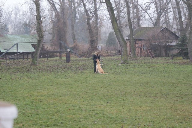 img00019.jpg
