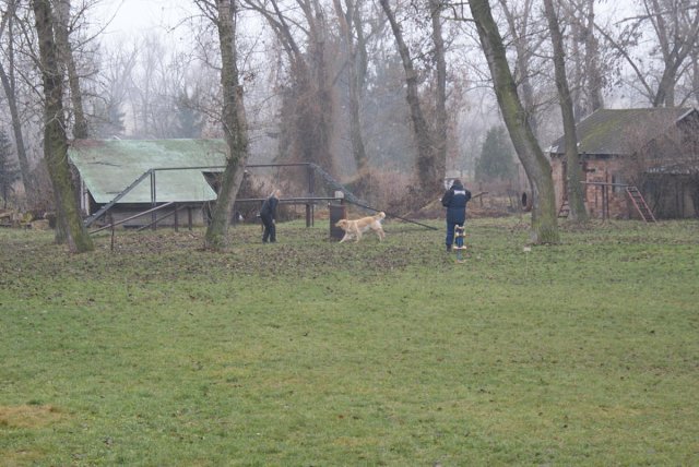 img00021.jpg