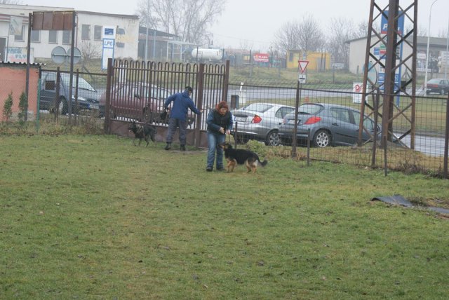 img00024.jpg