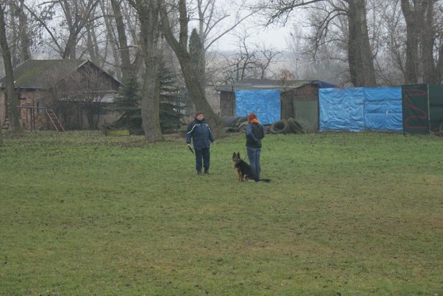 img00027.jpg
