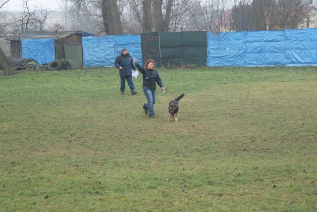img00029.jpg