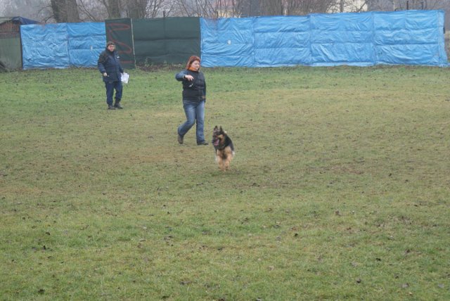 img00030.jpg