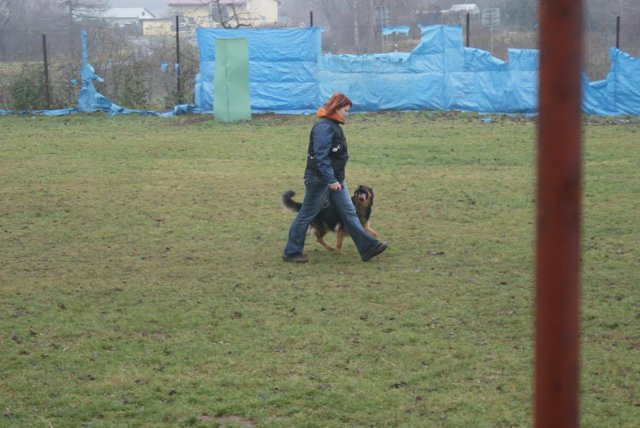 img00031.jpg