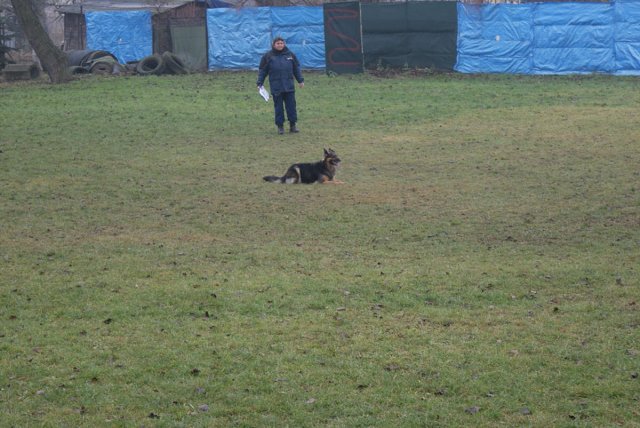 img00036.jpg