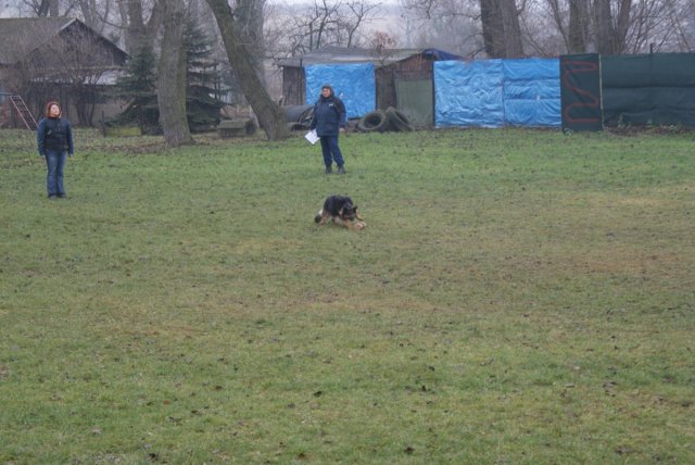 img00038.jpg