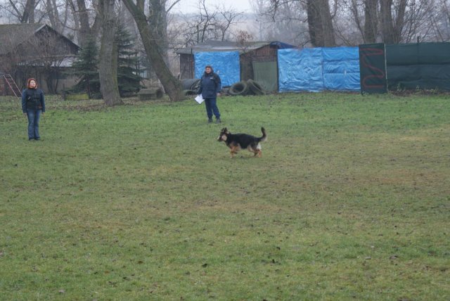 img00039.jpg