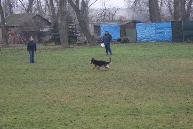 img00040.jpg