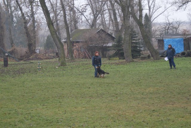 img00041.jpg