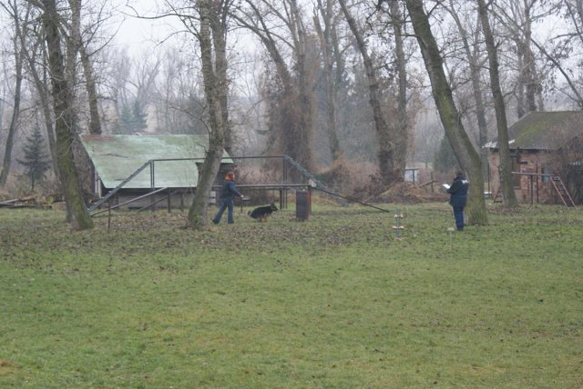 img00042.jpg