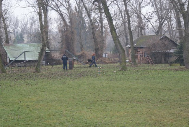 img00049.jpg