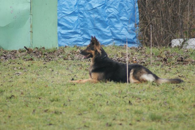 img00055.jpg