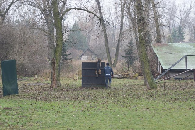img00057.jpg