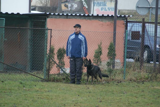 img00064.jpg