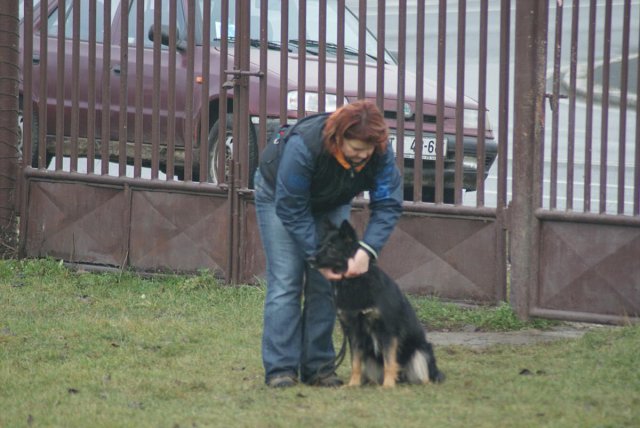 img00070.jpg