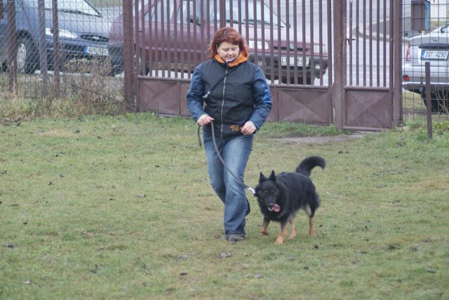img00072.jpg