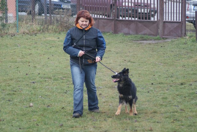 img00073.jpg