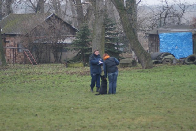 img00074.jpg