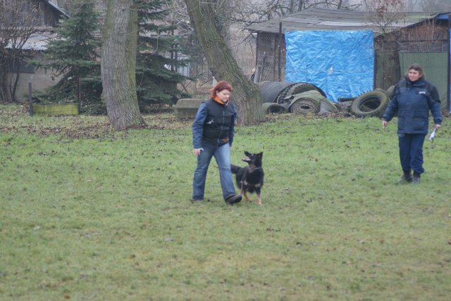 img00075.jpg