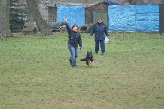 img00076.jpg