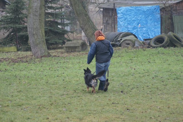 img00078.jpg